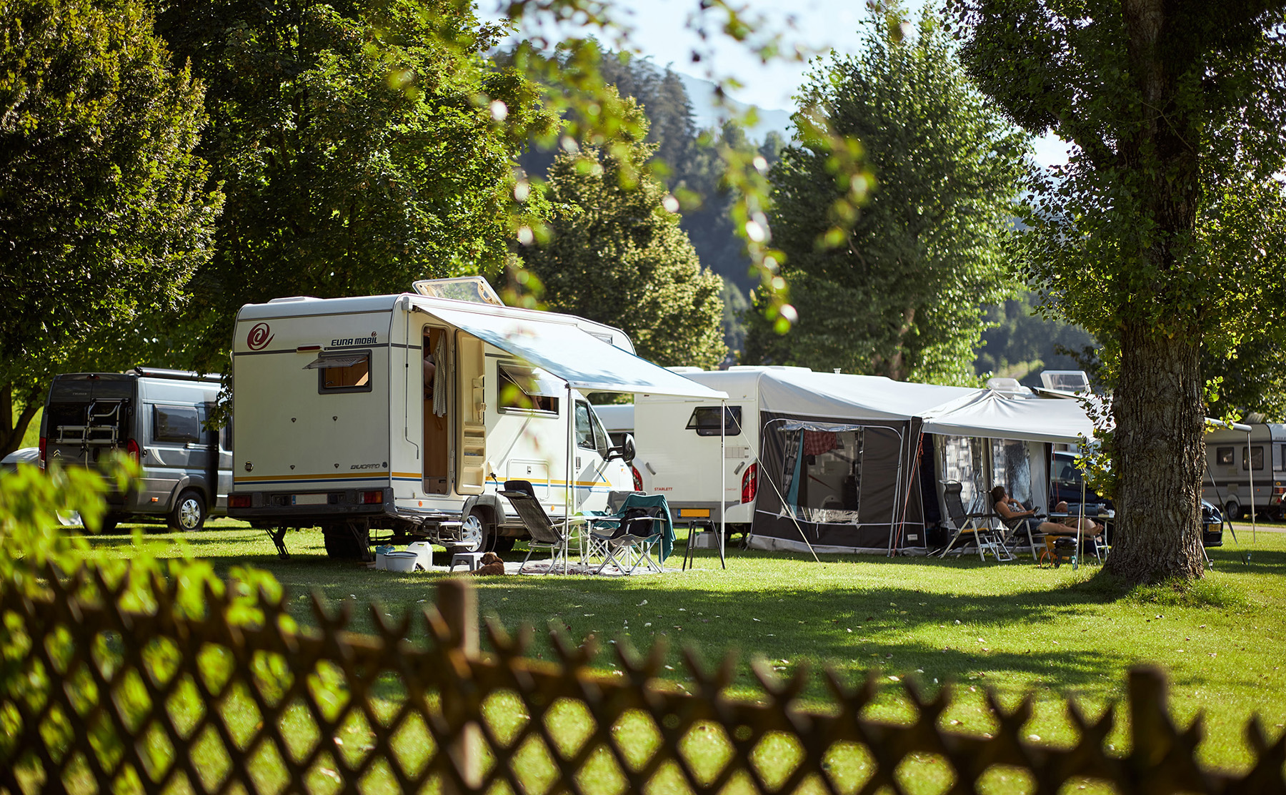 Schlosscamping Aschach Grünflächen und alter Baumbestand