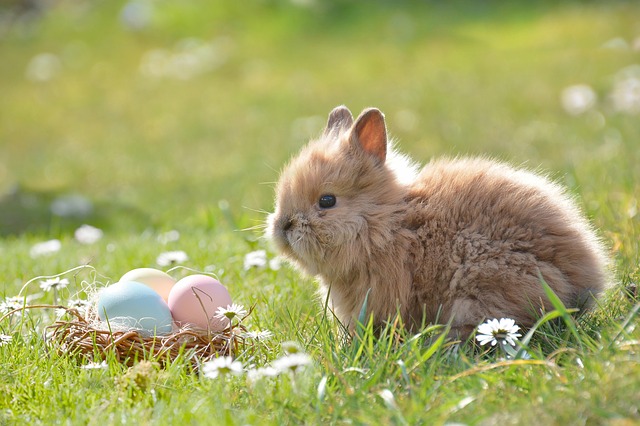 Camping im Frühling Springtime Primavera Printemps